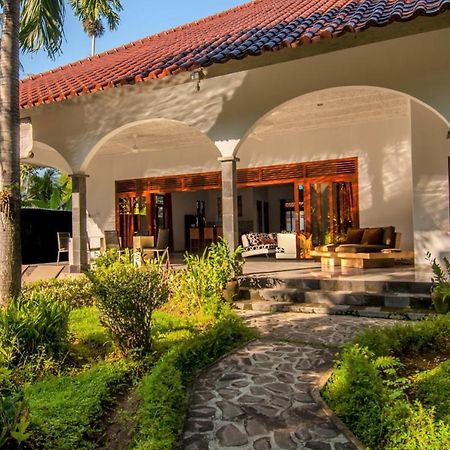 Villa Kelapa Lovina Zewnętrze zdjęcie